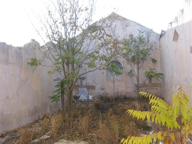 Ejemplo de sucesión ecológica en una iglesia abandonada